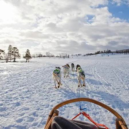 Cozy And Among Locals