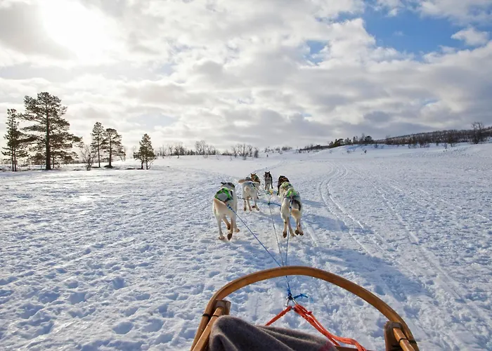 Cozy And Among Locals