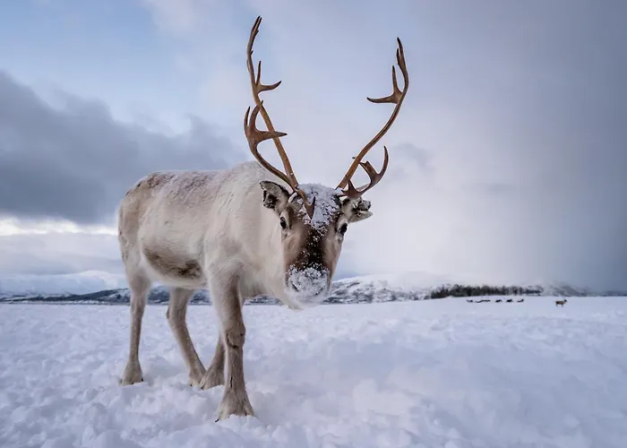 Cozy And Among Locals Apartamento *