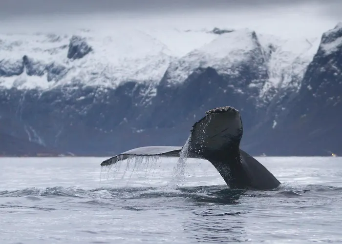 Cozy And Among Locals *